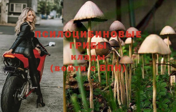 таблы Рославль