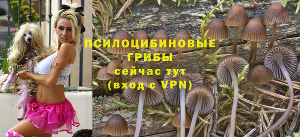таблы Рославль
