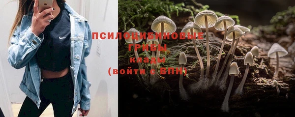 молекула духа Михайловск