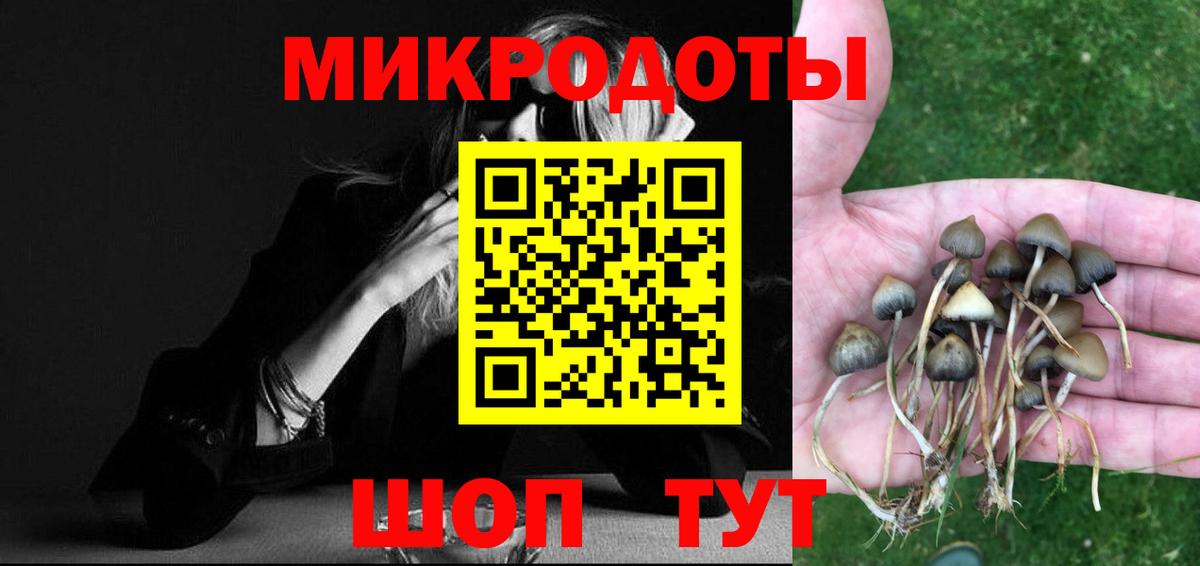 Псилоцибиновые грибы ЛСД  Псилоцибиновые грибы GOLDEN TEACHER  Чапаевск 