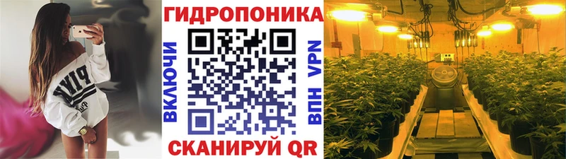 Шишки марихуана сатива  наркотики  Чапаевск 